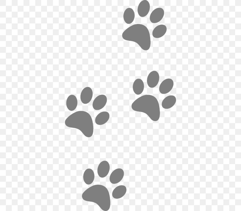 Dog Paw Footprint Clip Art, PNG, 378x720px, Dog, American Kennel Club, Black, Black And White, Footprint Download Free