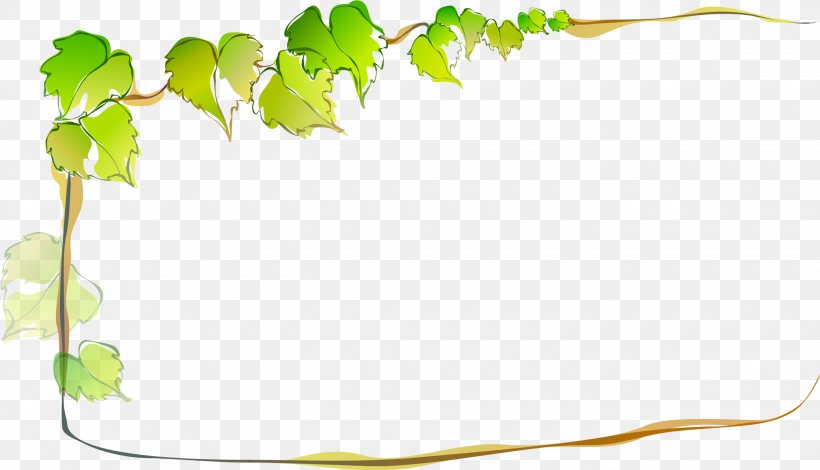 Vector Graphics Image Download Clip Art, PNG, 2840x1628px, Art, Drawing, Ivy, Ivy Family, Leaf Download Free