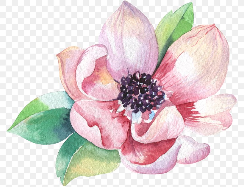 Watercolor Painting Stock Photography Royalty-free, PNG, 779x628px, Watercolor Painting, Aquatic Plant, Art, Creative Market, Cut Flowers Download Free