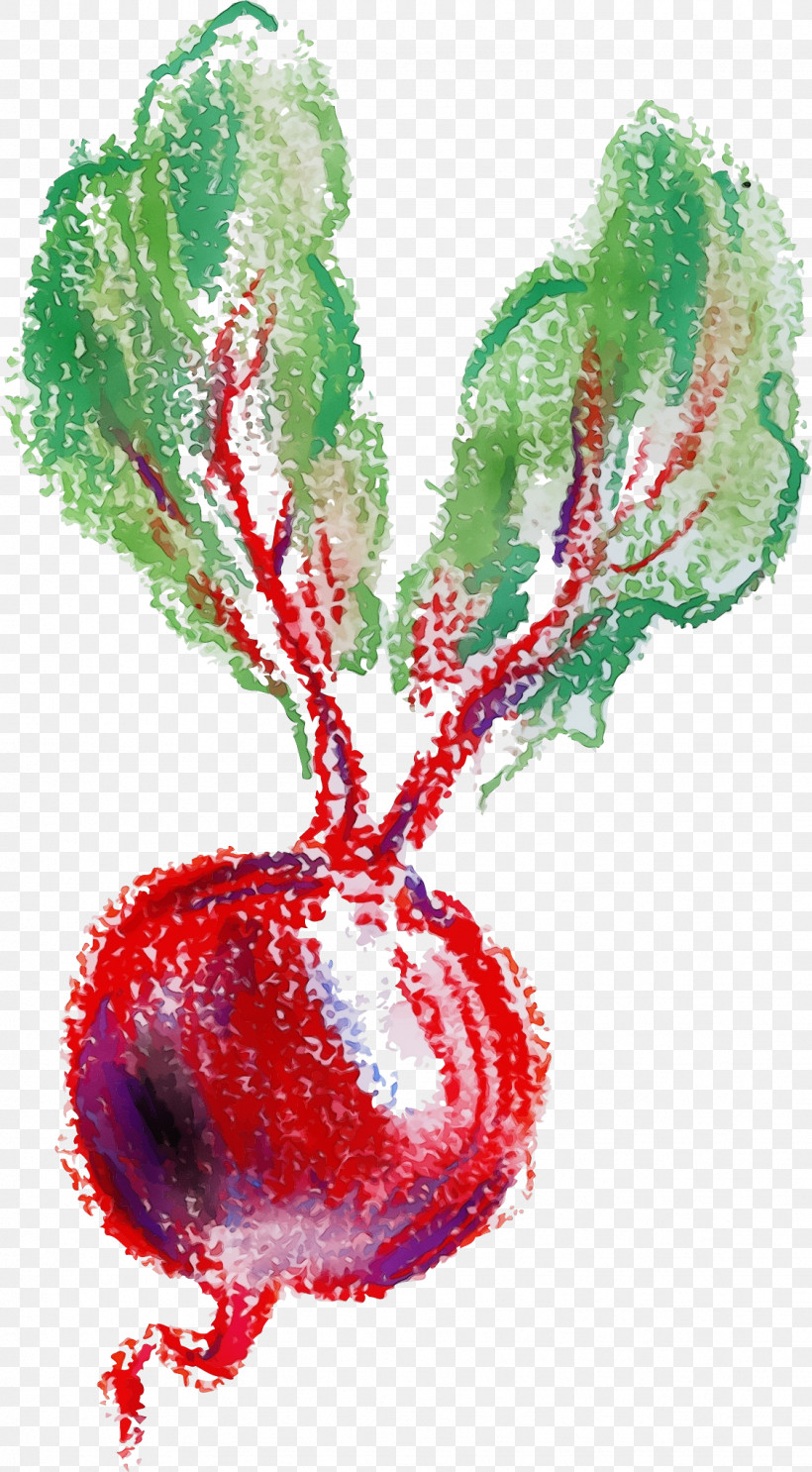Christmas Ornament, PNG, 1126x2041px, Watercolor, Arts, Biology, Christmas Day, Christmas Ornament Download Free