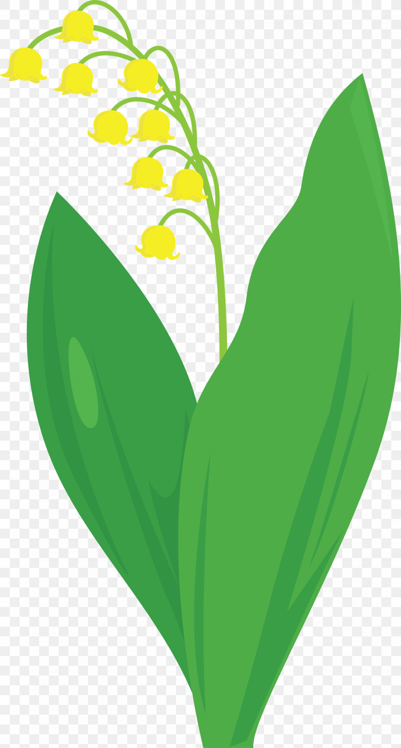 Lily Bell Flower, PNG, 1609x3000px, Lily Bell, Anthurium, Flower, Green, Heart Download Free