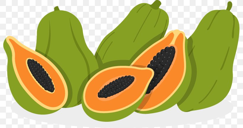 Papaya Euclidean Vector Fruit Illustration, PNG, 797x432px, Papaya, Auglis, Cashew, Cucumber Gourd And Melon Family, Food Download Free