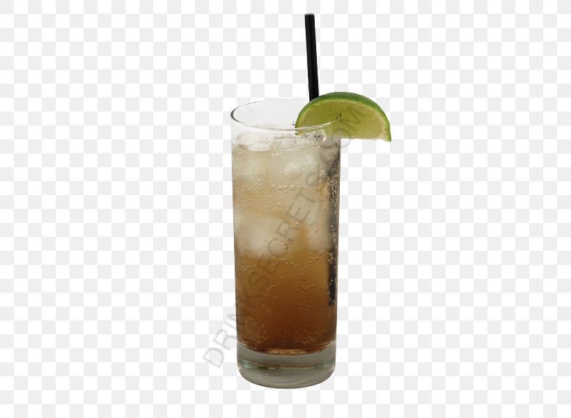 Rickey Highball Rum And Coke Sea Breeze Long Island Iced Tea, PNG, 450x600px, Rickey, Bay Breeze, Cocktail, Cocktail Garnish, Cuba Libre Download Free