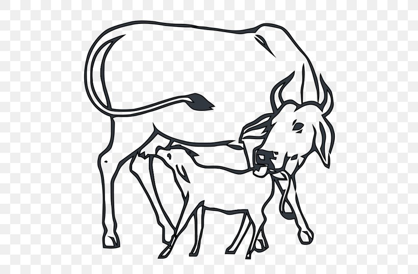 Cow-calf Operation Indian National Congress Beef Cattle, PNG, 600x538px, Calf, Animal Figure, Artwork, Beef Cattle, Bharatiya Janata Party Download Free