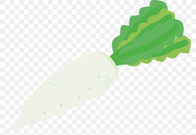 Daikon Ingredient, PNG, 780x566px, Daikon, Facebook, Facebook Inc, Feedly, Ingredient Download Free