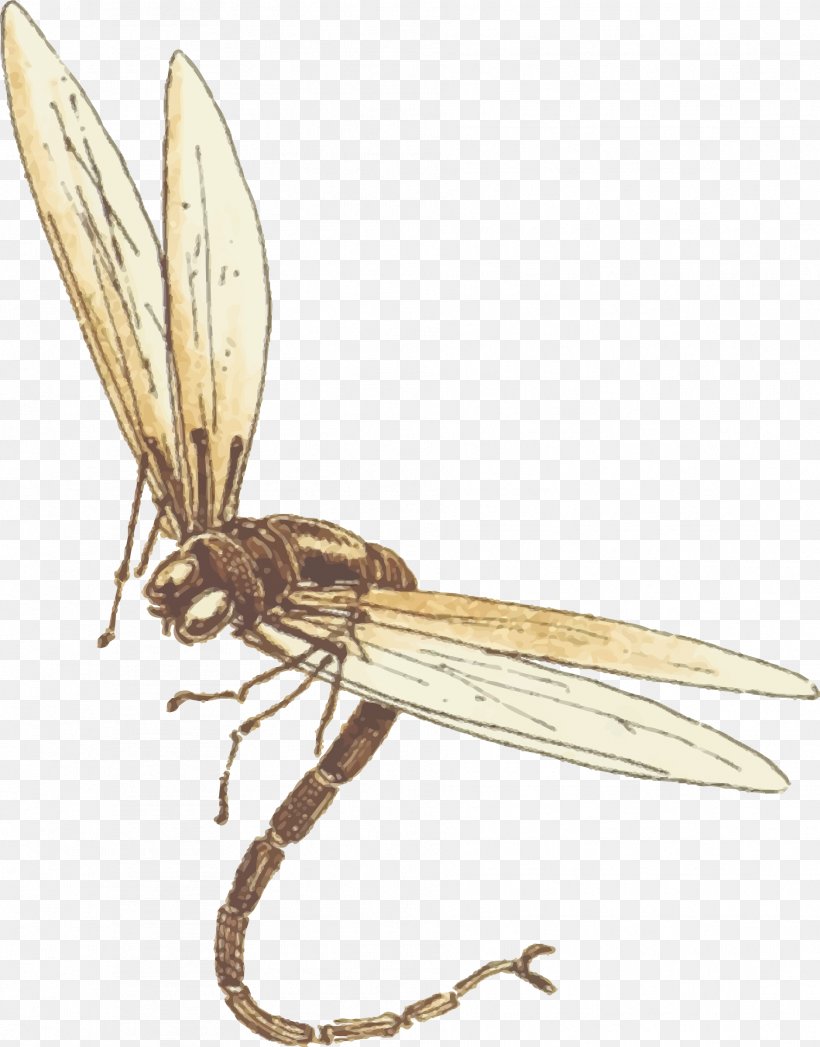 Insect Dragon, Fly! Free Android, PNG, 1879x2400px, Insect, Android, Arthropod, Dragon Fly Free, Dragonfly Download Free