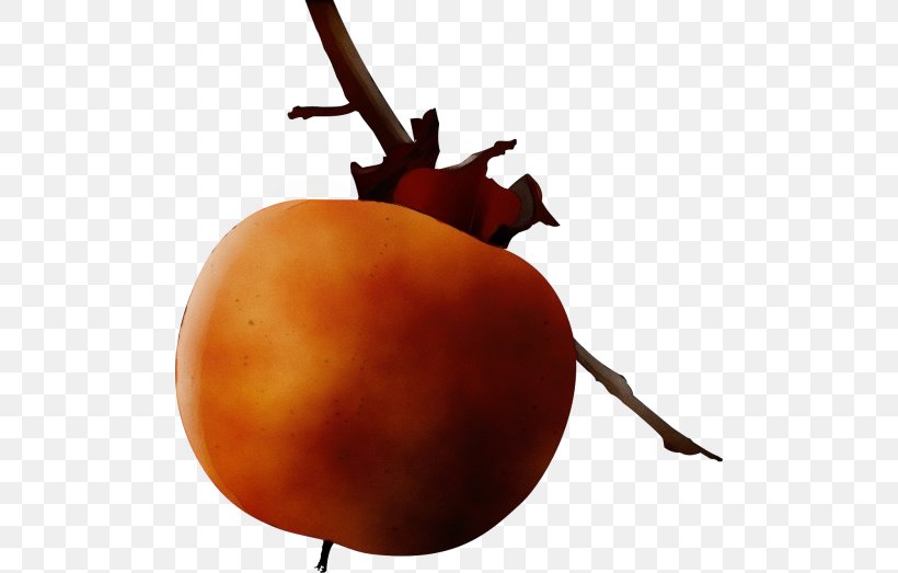 Plant Fruit Vegetable Ebony Trees And Persimmons Food, PNG, 500x523px, Watercolor, Ebony Trees And Persimmons, Food, Fruit, Paint Download Free