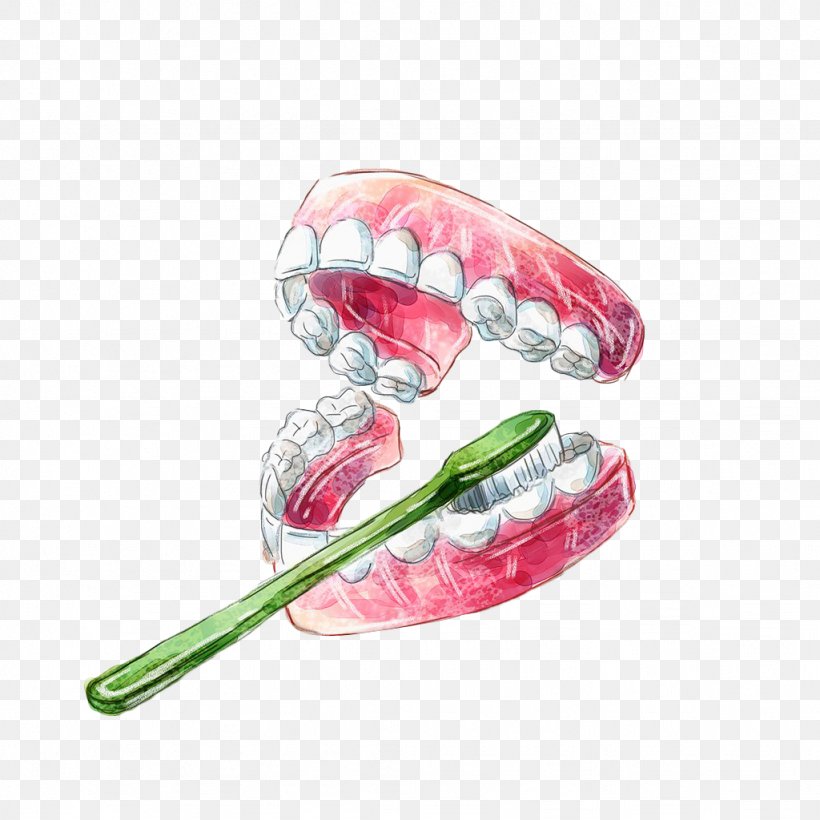Tooth Brushing Gums Dental Calculus Gingivitis, PNG, 1024x1024px, Tooth, Body Jewelry, Deciduous Teeth, Dental Calculus, Dentistry Download Free