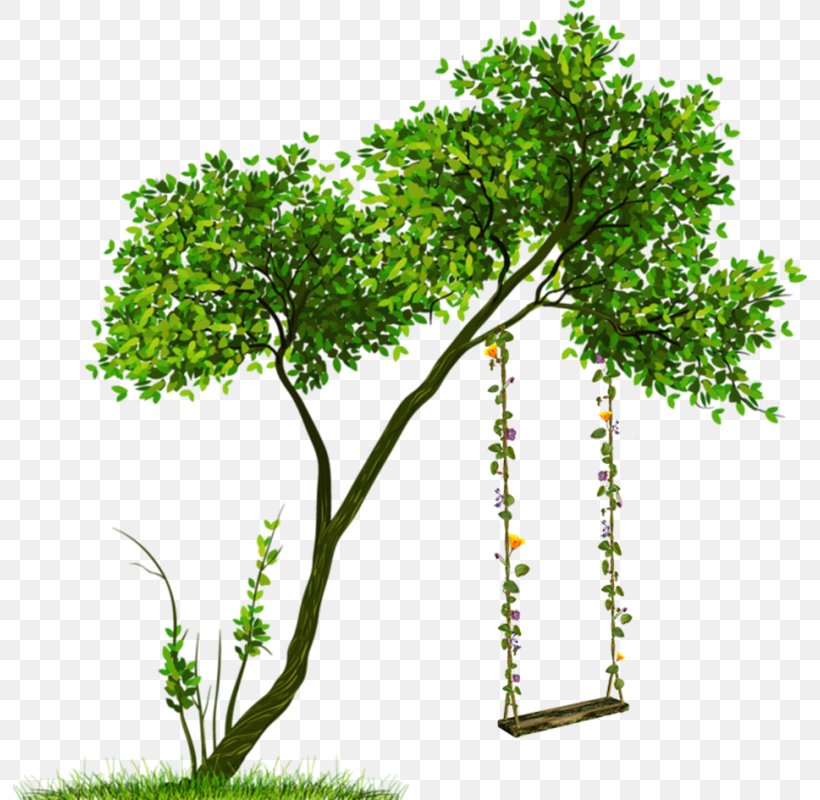 Tree Transparency Clip Art Shrub, PNG, 794x800px, Tree, Branch, Drawing, Flowering Plant, Flowerpot Download Free