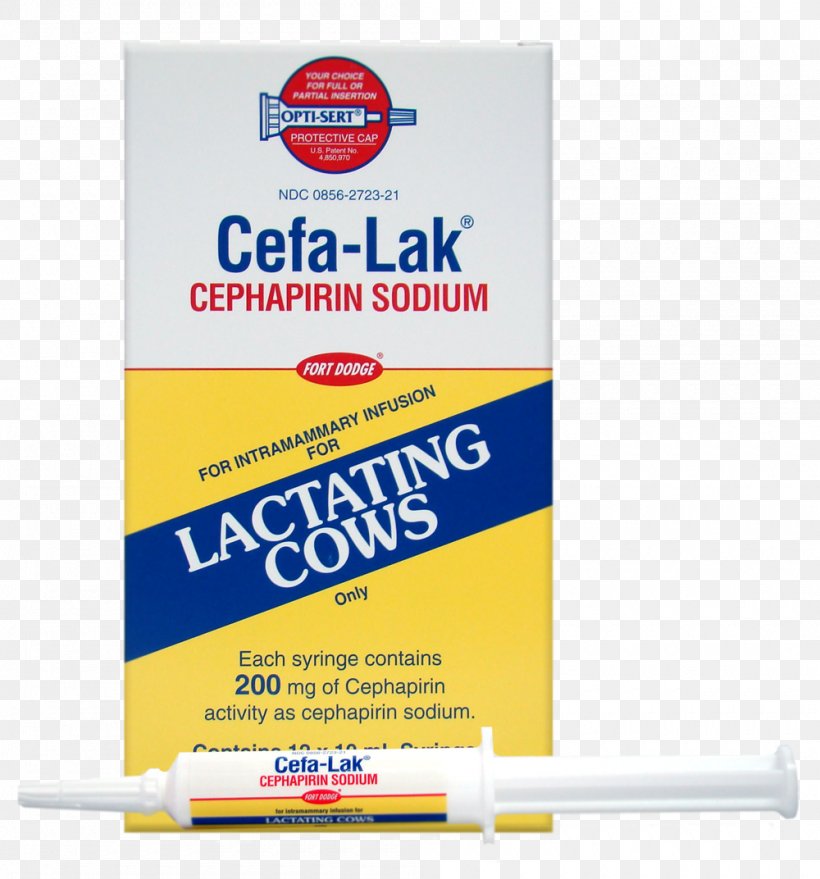 Cattle Cefapirin Mastitis Milk Route Of Administration, PNG, 1000x1072px, Cattle, Dose, Household Cleaning Supply, Inflammation, Mammary Gland Download Free