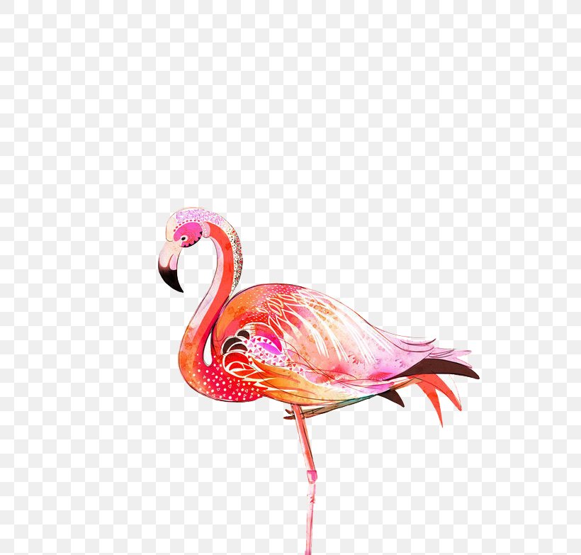 Greater Flamingo Bird Illustration, PNG, 554x783px, Flamingo, Beak, Bird, Color, Drawing Download Free