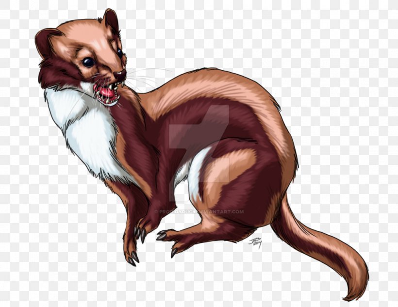 Red Fox Cat Cartoon Mammal, PNG, 1017x786px, Red Fox, Carnivoran, Cartoon, Cat, Cat Like Mammal Download Free