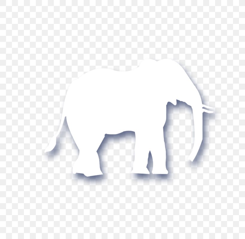 African Elephant Indian Elephant Hathi Jr., PNG, 800x800px, African Elephant, Animal, Black And White, Elephant, Elephants And Mammoths Download Free