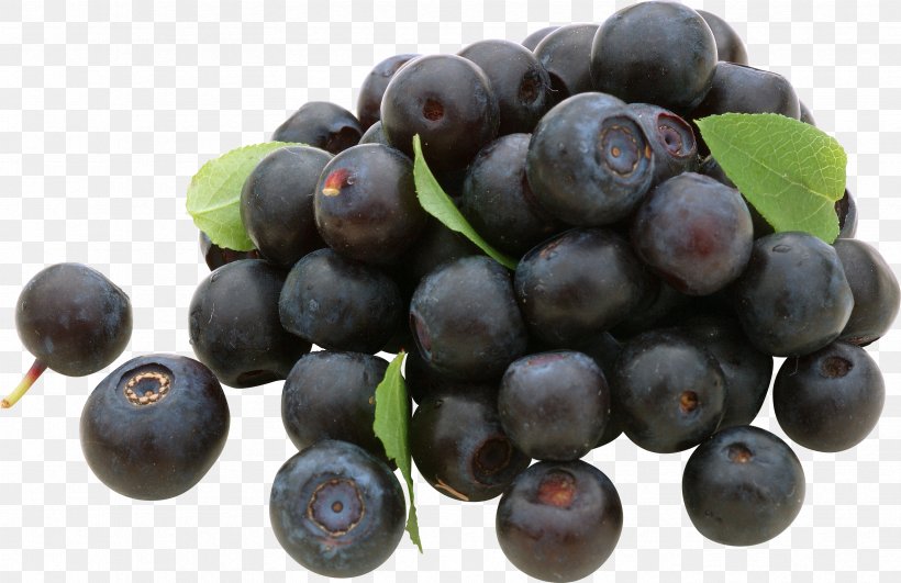 Blueberry Grape Frutti Di Bosco Bilberry, PNG, 3337x2164px, Blueberry, Amazon Grape, Auglis, Berry, Bilberry Download Free