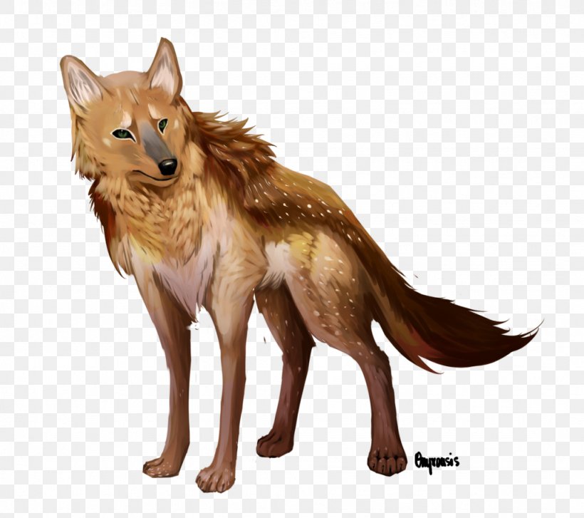 Coyote Dog Dhole Red Fox, PNG, 1024x908px, Coyote, Animal, Canidae, Carnivora, Carnivoran Download Free
