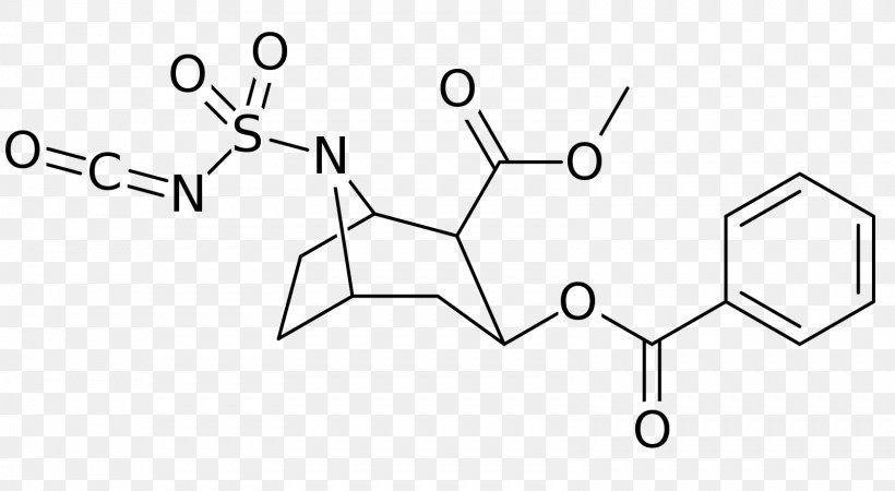 Cocaine Dependence Stimulant Erythroxylum Coca Cocaethylene, PNG, 1599x878px, Cocaine, Addiction, Alkaloid, Area, Benzoylecgonine Download Free