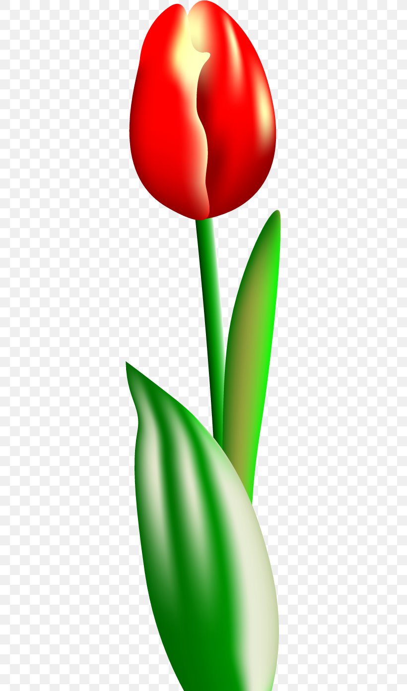 Petal Tulip Clip Art, PNG, 313x1394px, Petal, Flower, Flowering Plant, Heart, Naver Download Free