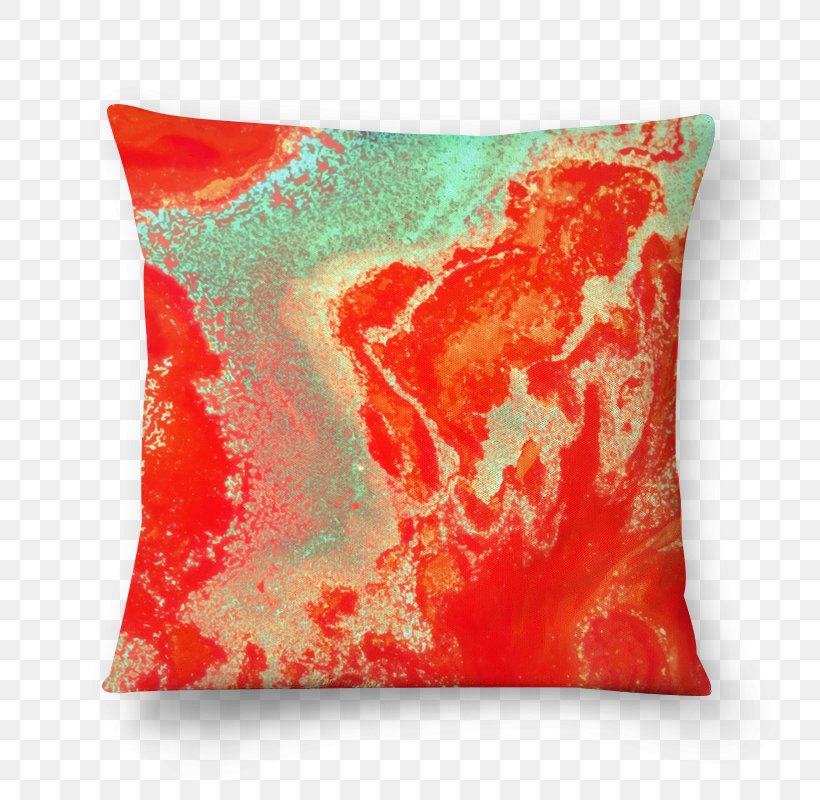 Throw Pillows Cushion Canvas Print Art, PNG, 800x800px, Throw Pillows, Art, Canvas, Canvas Print, Cushion Download Free