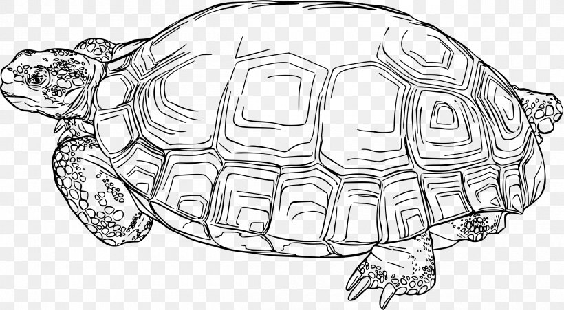 Turtle Gopherus Reptile Desert Tortoise Clip Art, PNG, 2400x1321px, Turtle, African Spurred Tortoise, Artwork, Black And White, Box Turtle Download Free