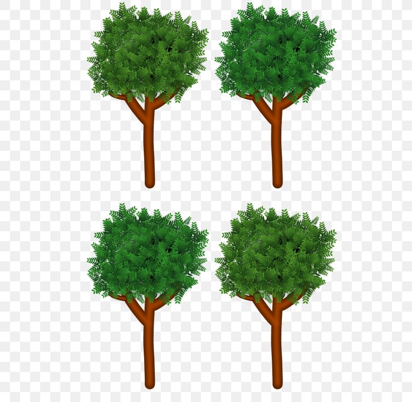 Branch Tree Forest Clip Art, PNG, 566x800px, Branch, Arecaceae, Evergreen, Flowerpot, Forest Download Free