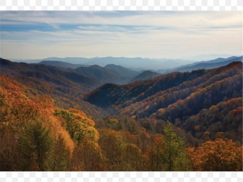 Clingmans Dome Knoxville National Park Hotel, PNG, 1024x768px, Clingmans Dome, Accommodation, Autumn, Biome, Ecosystem Download Free