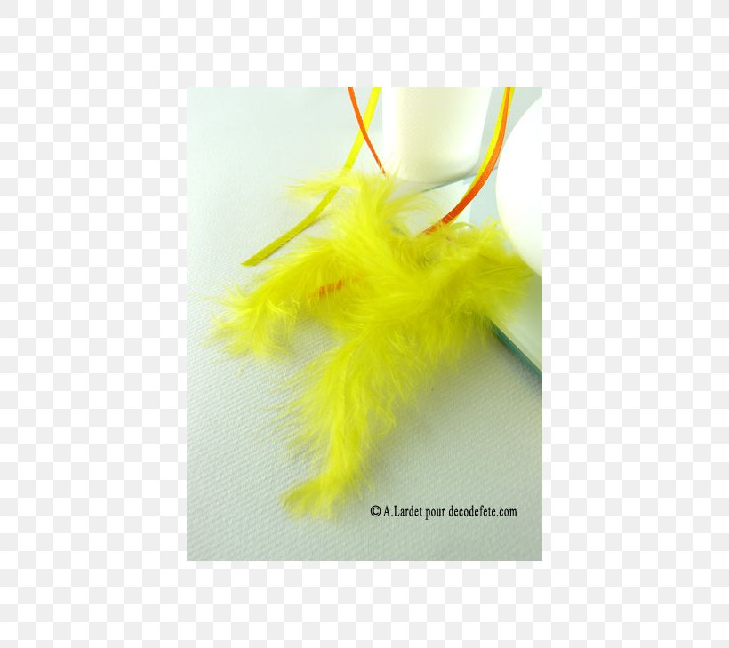 Feather Yellow Sachet, PNG, 540x729px, Feather, Sachet, Yellow Download Free