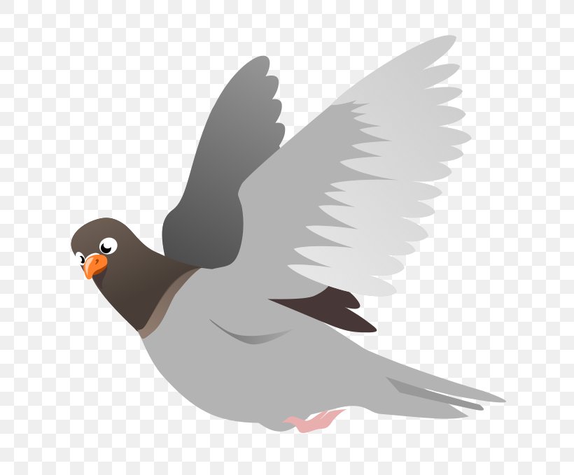 Homing Pigeon English Carrier Pigeon Columbidae Squab Clip Art, PNG, 730x679px, Homing Pigeon, Beak, Bird, Columbidae, Domestic Pigeon Download Free
