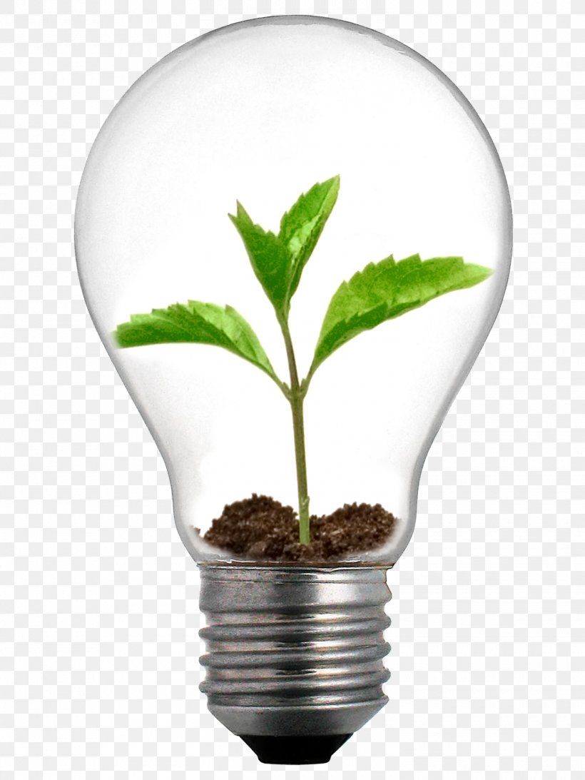 Incandescent Light Bulb Grow Light Lighting LED Lamp, PNG, 1500x2000px, Light, Compact Fluorescent Lamp, Efficient Energy Use, Electric Light, Energy Download Free