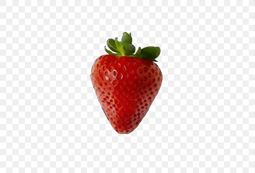Strawberry, PNG, 500x558px, Watercolor, Accessory Fruit, Berry, Food, Fruit Download Free