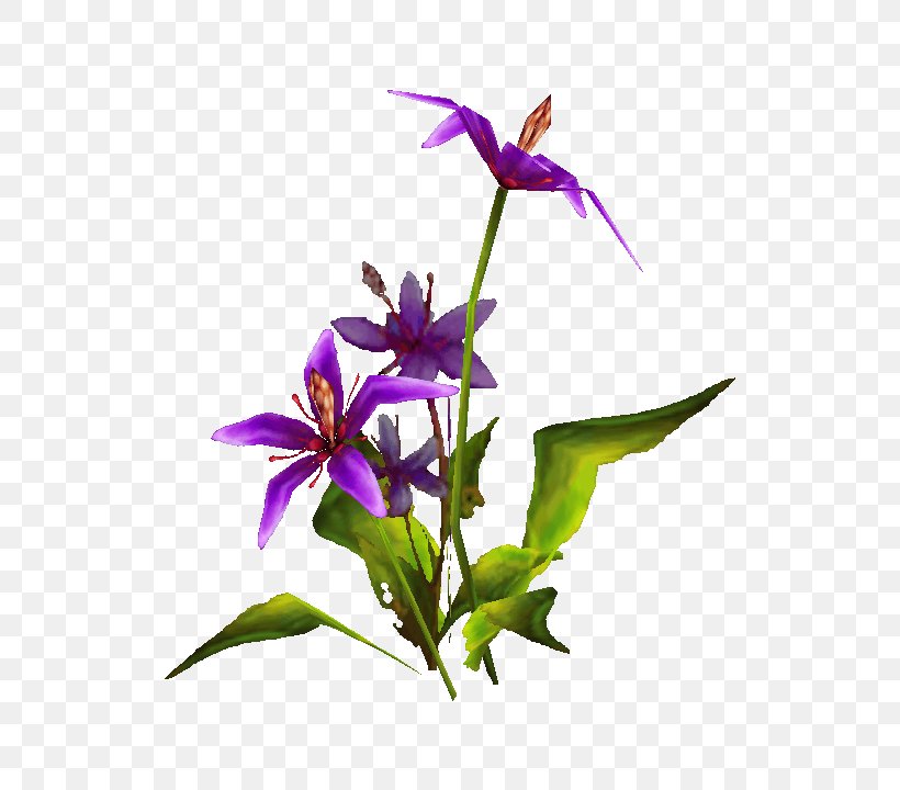 Arthas Menethil Infusion Tears Herbaceous Plant Petal, PNG, 720x720px, Arthas Menethil, Flora, Flower, Flowering Plant, Herbaceous Plant Download Free