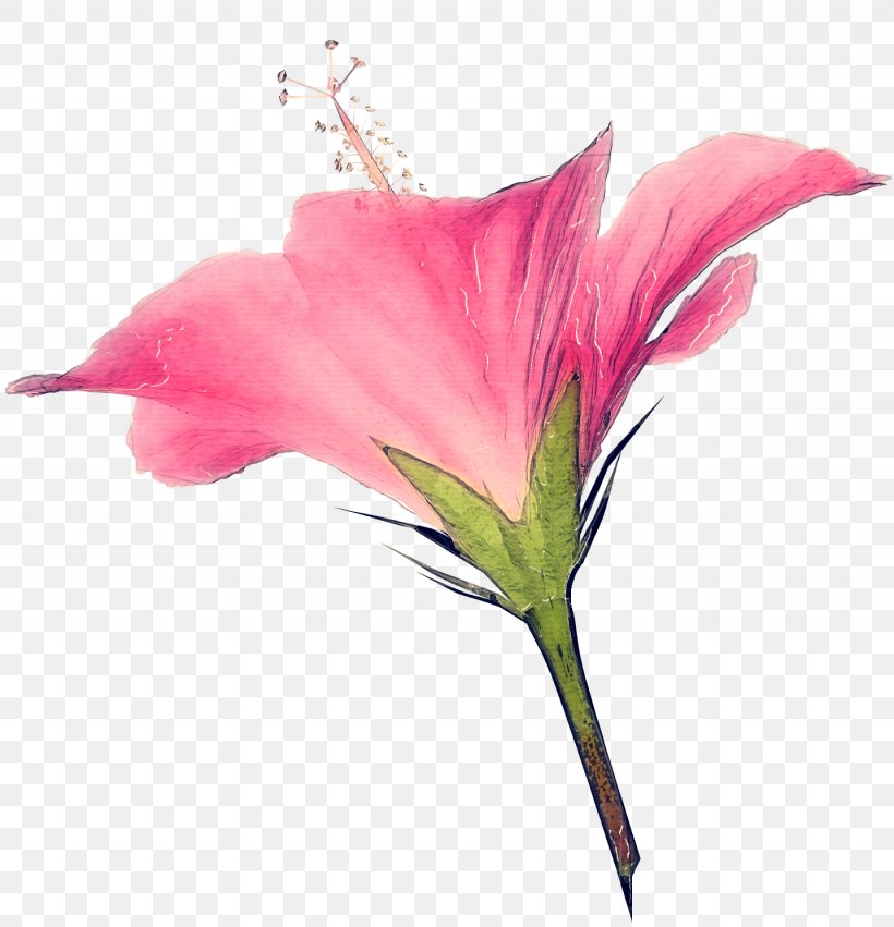 Artificial Flower, PNG, 1435x1490px, Flower, Anthurium, Artificial Flower, Cut Flowers, Flowering Plant Download Free