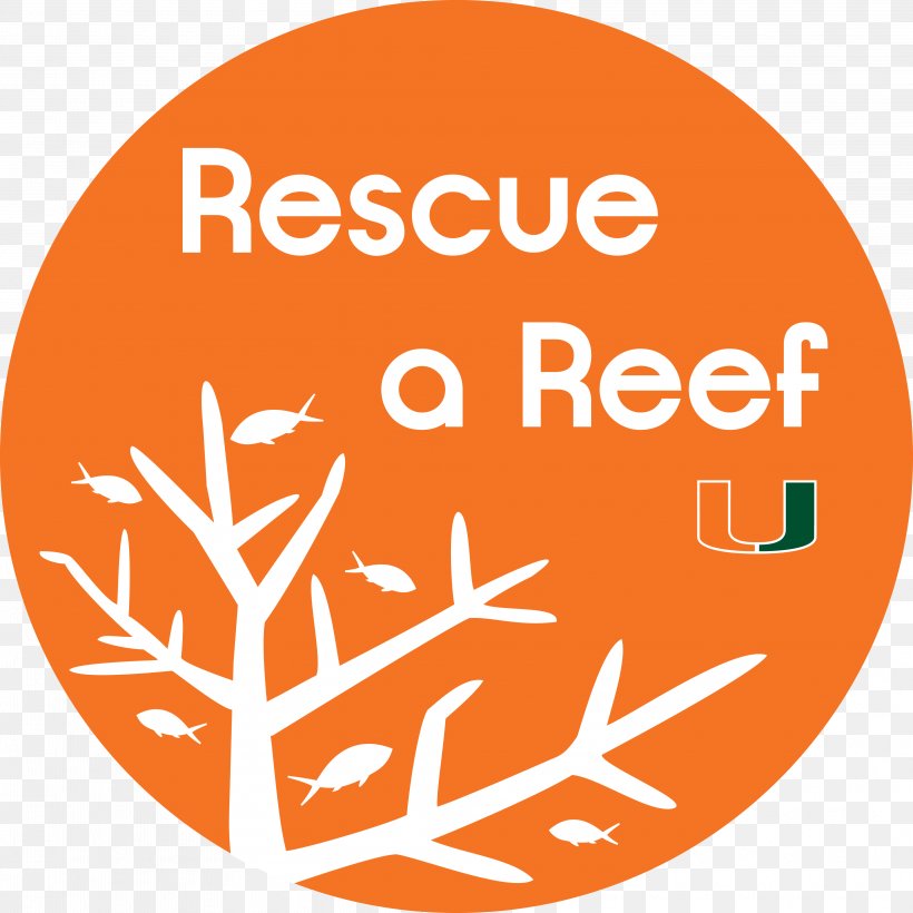 Coral Reef Fish Rescue A Reef, PNG, 4165x4165px, Coral Reef, Algae, Area, Brand, Citizen Science Download Free