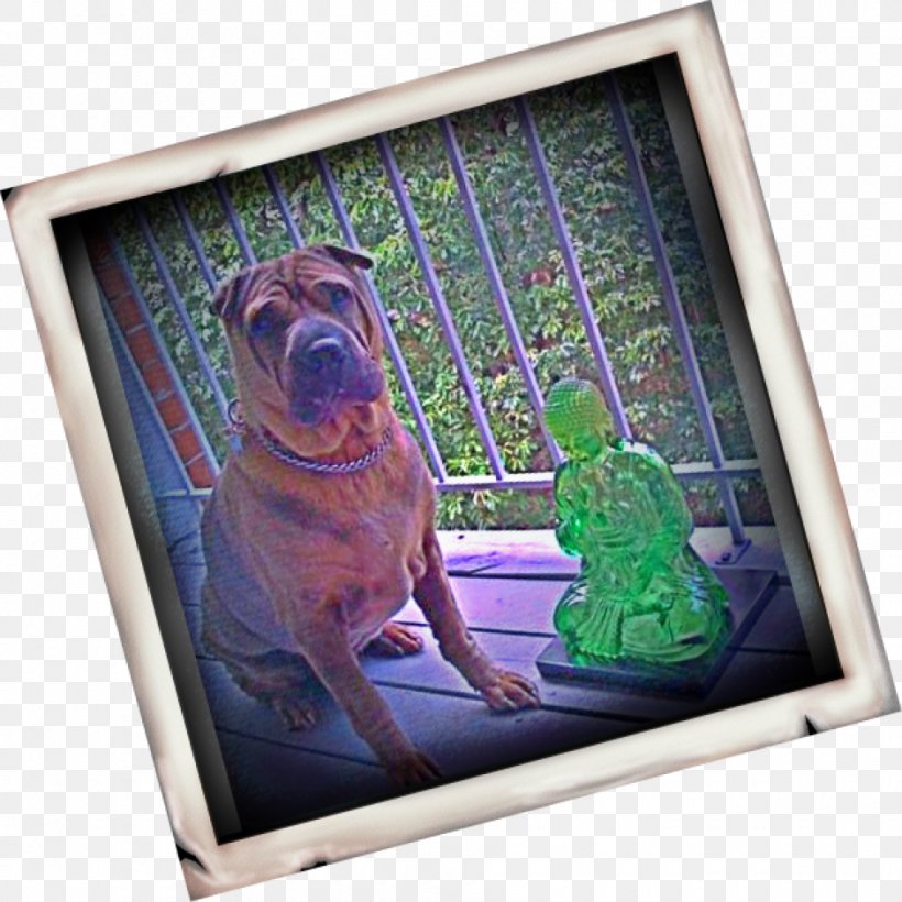 Dog Television Picture Frames Snout, PNG, 940x940px, Dog, Dog Like Mammal, Picture Frame, Picture Frames, Snout Download Free