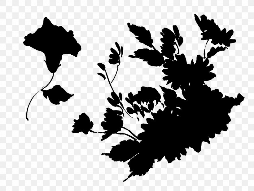 Plant Stem Flower Desktop Wallpaper Leaf Font, PNG, 1600x1200px, Plant Stem, Black, Black M, Blackandwhite, Botany Download Free