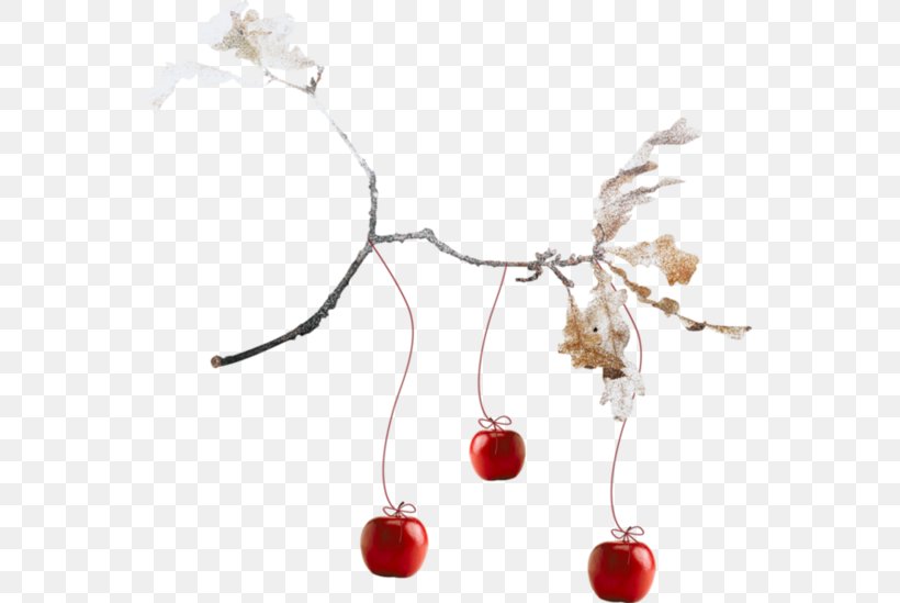 Cherry Apple Clip Art, PNG, 550x549px, Cherry, Apple, Computer Software, Fruit, Jewellery Download Free