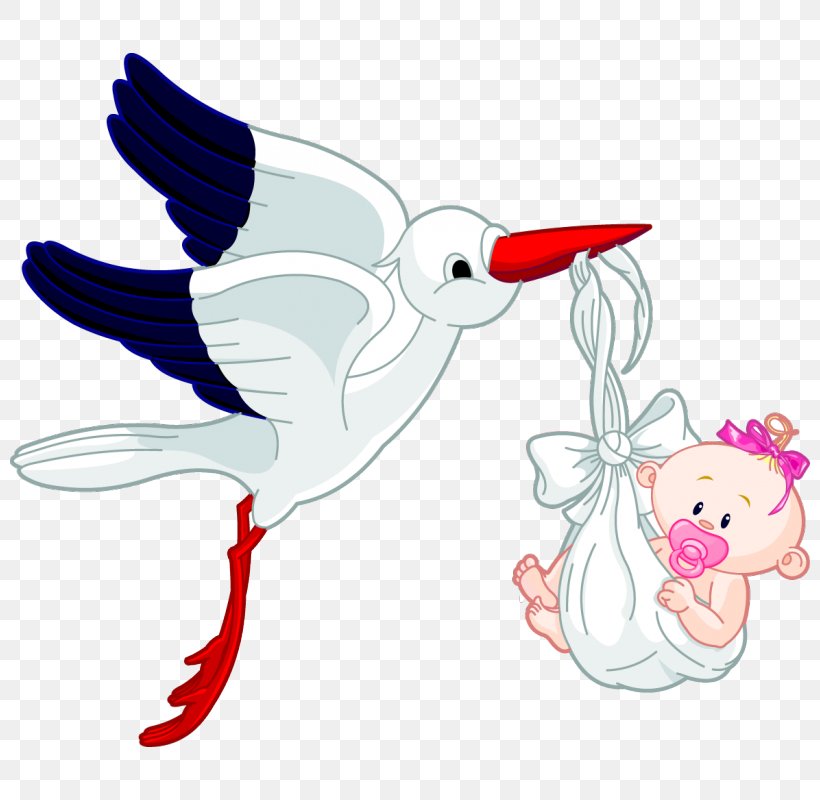 Child Drawing Infant Clip Art, PNG, 800x800px, Child, Art, Baby Announcement, Beak, Bird Download Free