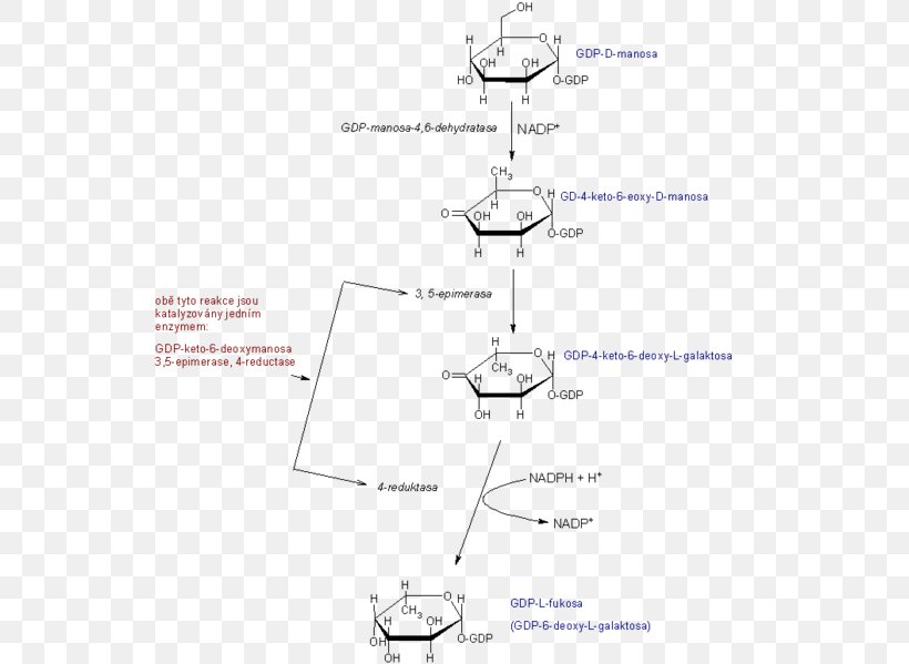 Line Angle Glucose 6-phosphate, PNG, 548x599px, Glucose 6phosphate, Area, Diagram, Glucose, Text Download Free