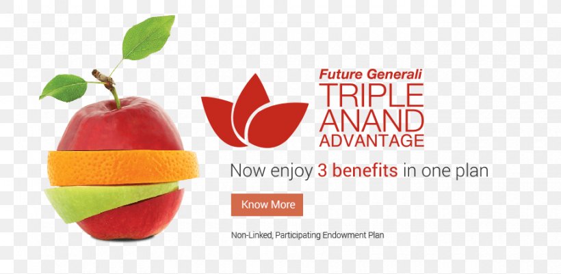 Nutrition Healthy Diet Nutrient, PNG, 920x450px, Nutrition, Apple, Beslenme, Brand, Diet Download Free