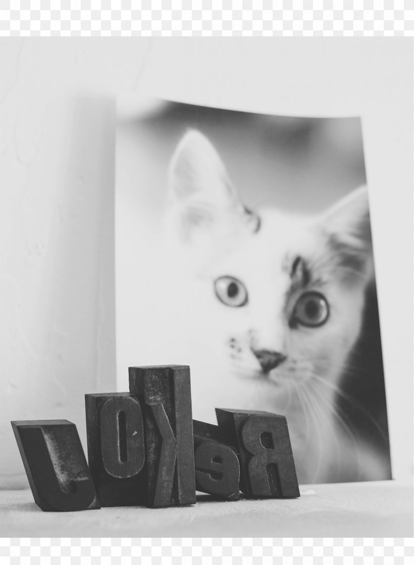 Whiskers Kitten Cat Drawing Picture Frames, PNG, 1200x1635px, Whiskers, Black, Black And White, Carnivoran, Cat Download Free