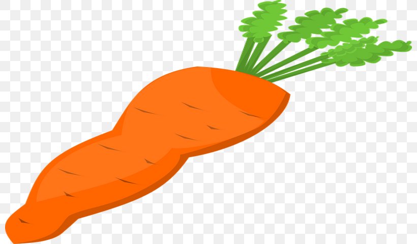 Carrot Download Vegetable Clip Art, PNG, 800x480px, Carrot, Baby Carrot, Carrot Salad, Document, Food Download Free