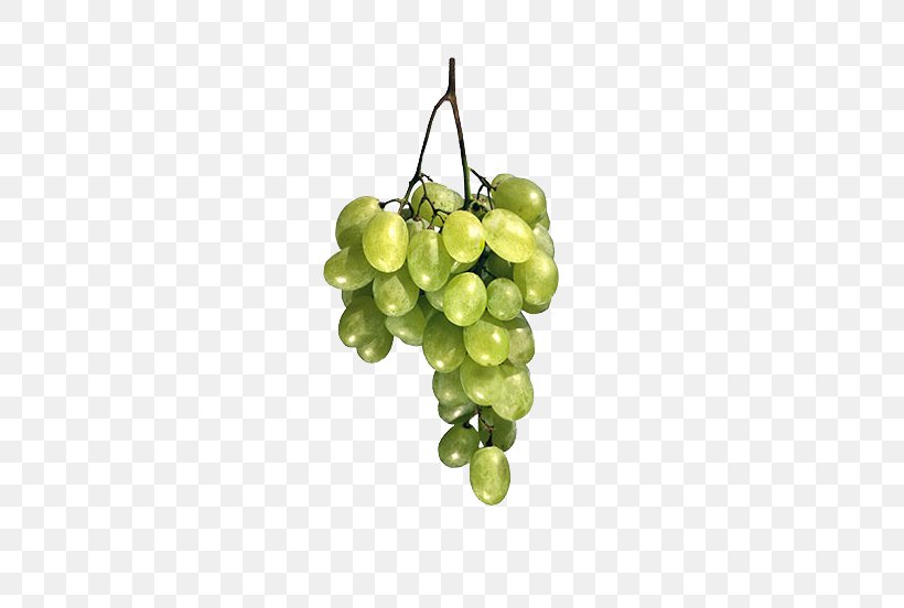 Common Grape Vine Fruit, PNG, 518x552px, 3d Computer Graphics, Common Grape Vine, Food, Fruit, Grape Download Free