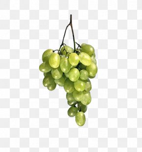 Bunch Of Fresh Grapes - Common Grape Vine Fruit PNG