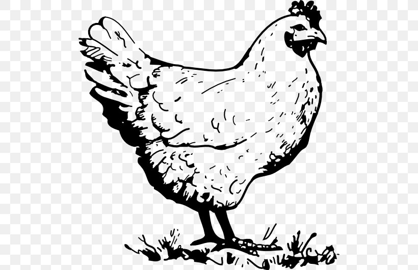 Fried Chicken Coloring Book Fried Egg Chicken Coop, PNG, 512x530px, Chicken, Adult, Art, Artwork, Beak Download Free