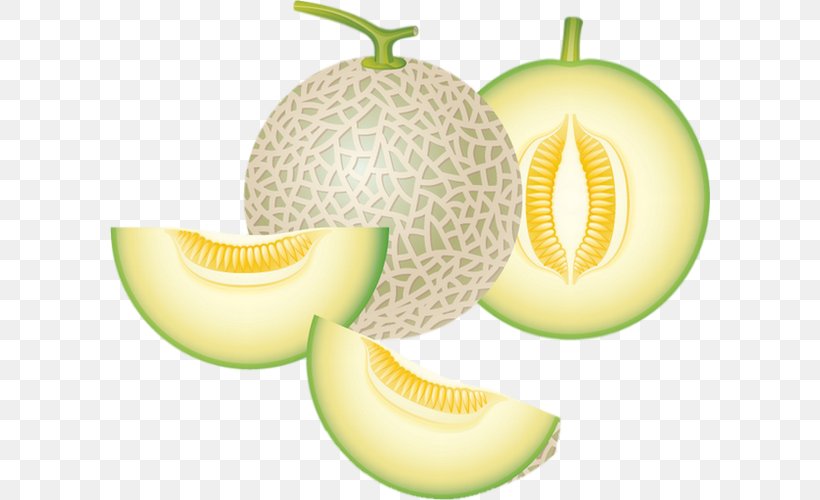 Honeydew Cantaloupe Melon Clip Art, PNG, 600x500px, Honeydew, Cantaloupe, Commodity, Computer, Cucumber Gourd And Melon Family Download Free