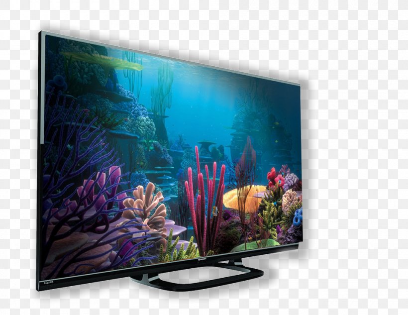 Nemo YouTube High-definition Television, PNG, 960x742px, Nemo, Aquarium, Computer Monitor, Display Device, Finding Dory Download Free