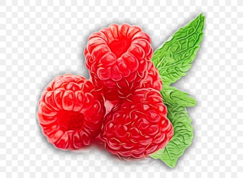 Strawberry, PNG, 600x600px, Watercolor, Berry, Food, Fruit, Paint Download Free