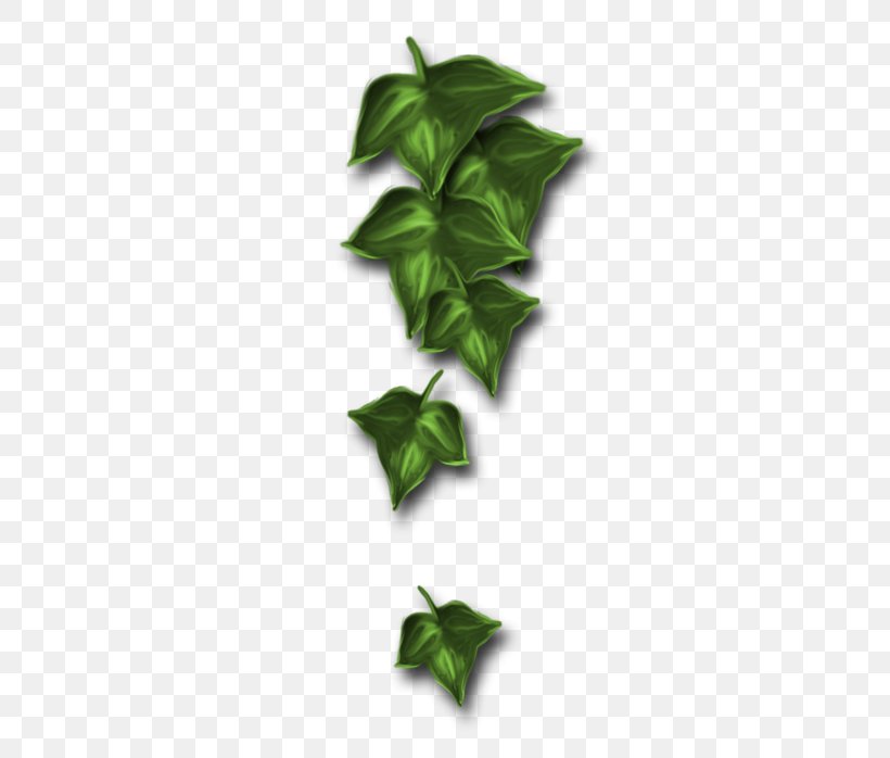 Centerblog Leaf Internet Forum Foruma Moderators, PNG, 367x698px, Centerblog, Blog, Fifilles, Foruma Moderators, Internet Forum Download Free