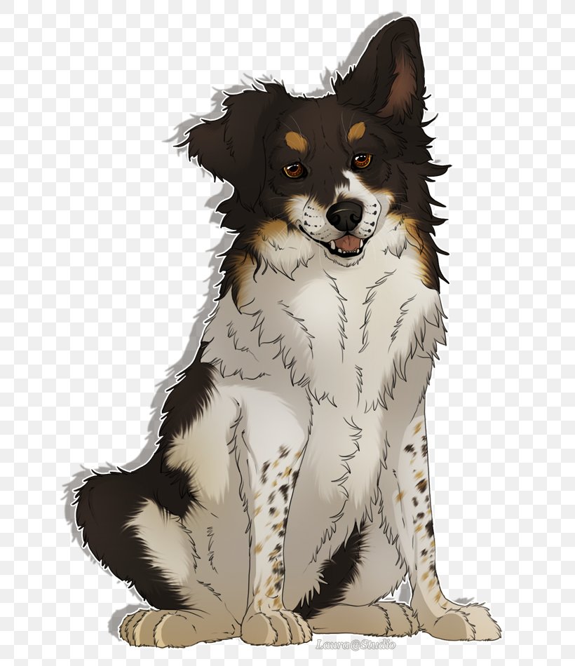 Dog Breed Border Collie Australian Shepherd Miniature American Shepherd Rare Breed (dog), PNG, 661x950px, Dog Breed, Australian Shepherd, Border Collie, Breed, Carnivoran Download Free