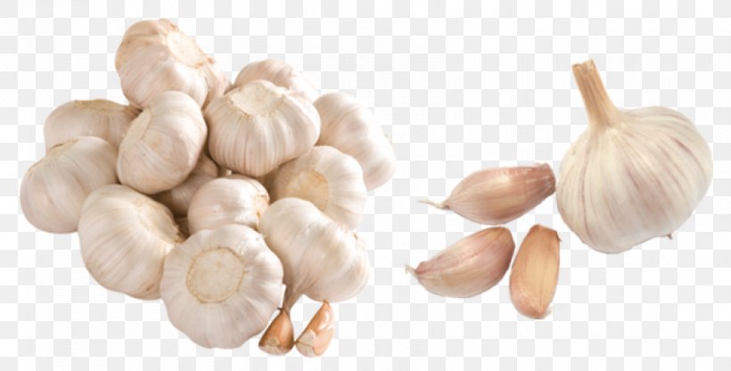 Garlic Clip Art, PNG, 850x432px, Garlic, Allioideae, Diallyl Disulfide, Elephant Garlic, Food Download Free