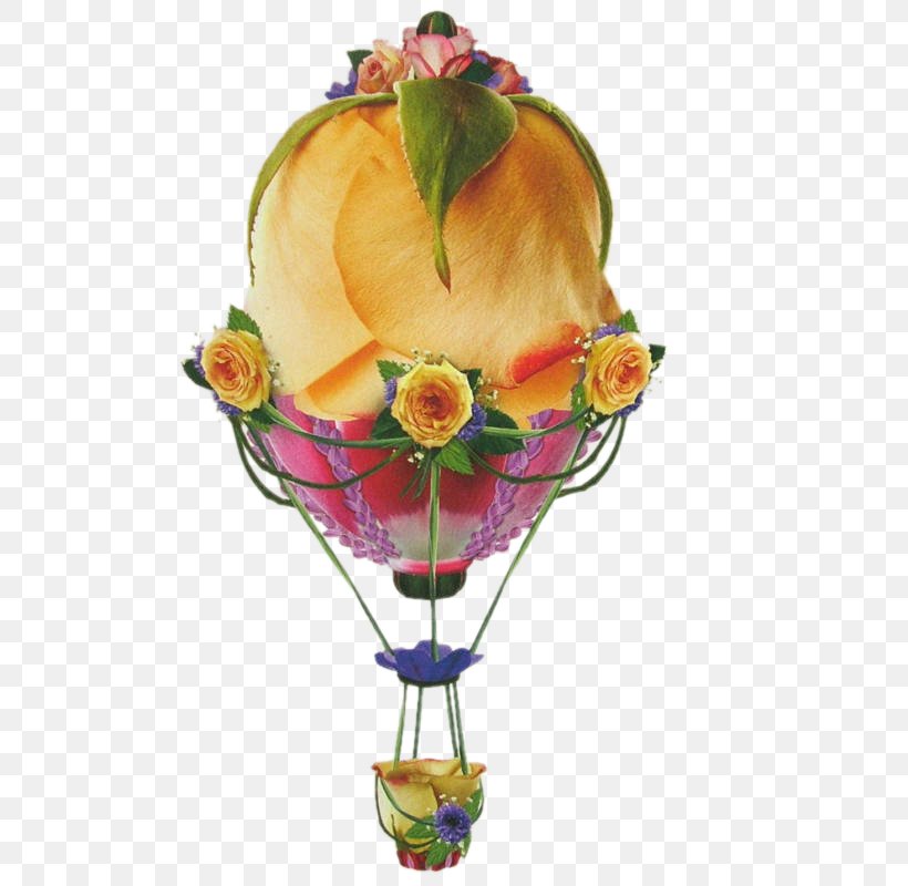 Hot Air Balloon Cut Flowers, PNG, 557x800px, Hot Air Balloon, Balloon, Cut Flowers, Flower, Fruit Download Free